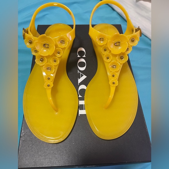 Coach tea shop rose jelly sandals